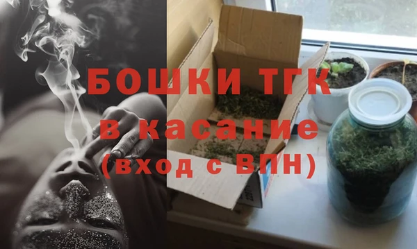 гашик Костерёво